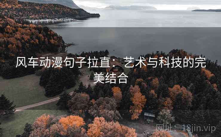 风车动漫句子拉直：艺术与科技的完美结合